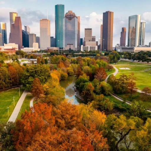 turkish airlines houston office